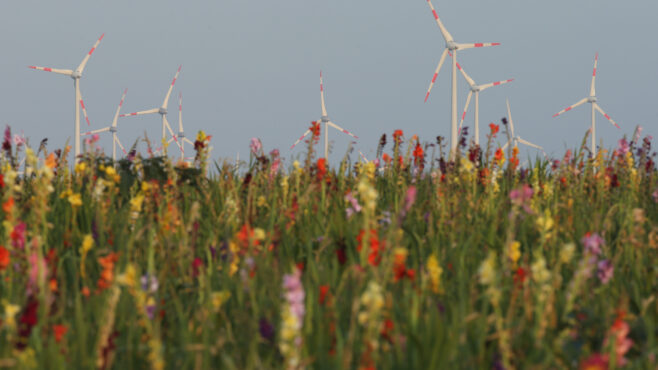 wind-turbines-Germany